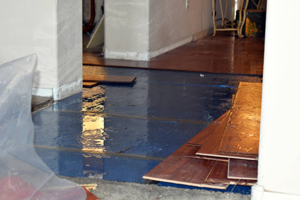 Professional Basement Water Removal technician working in Freeland, MI