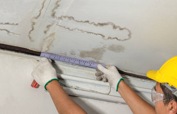 Reliable Basement Water Removal contractor in Freeland, MI by Water Damage Irwin